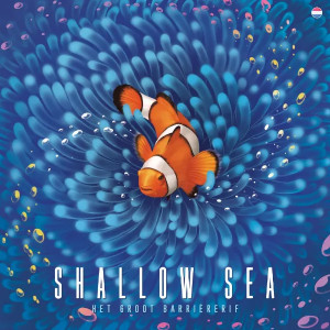Shallow Sea